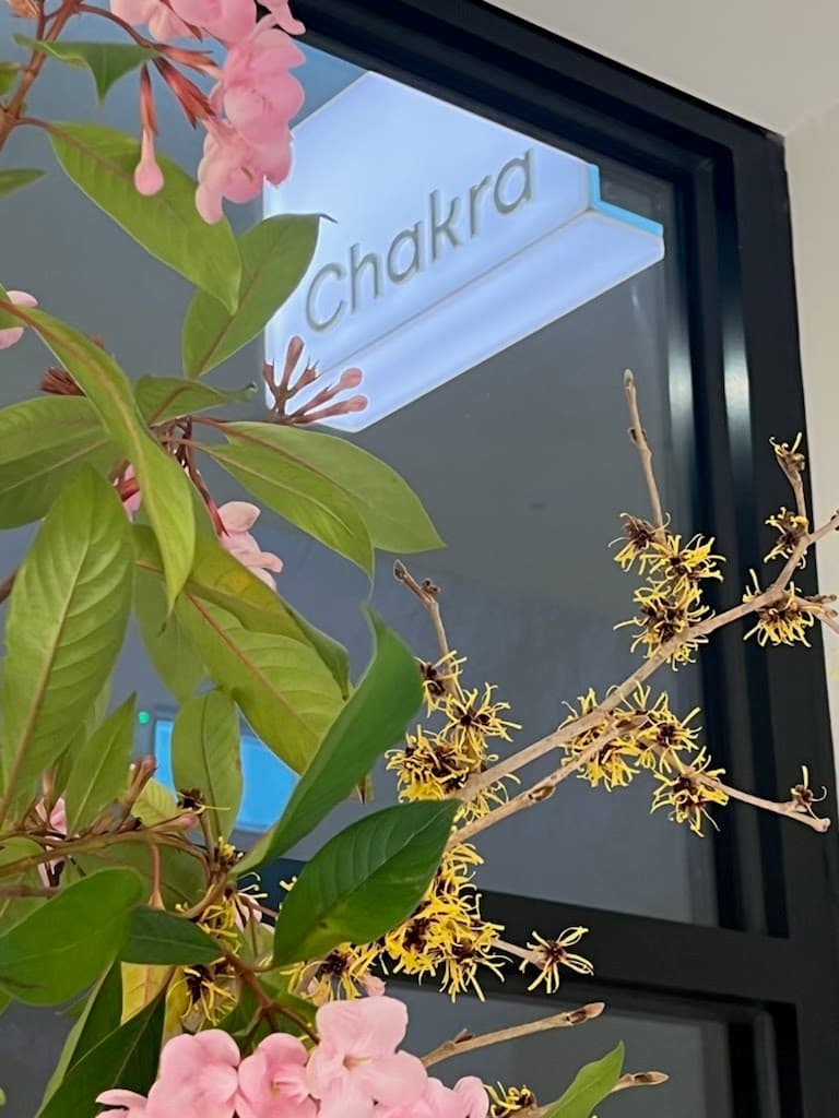 Chakra Intelligent Skin — 2